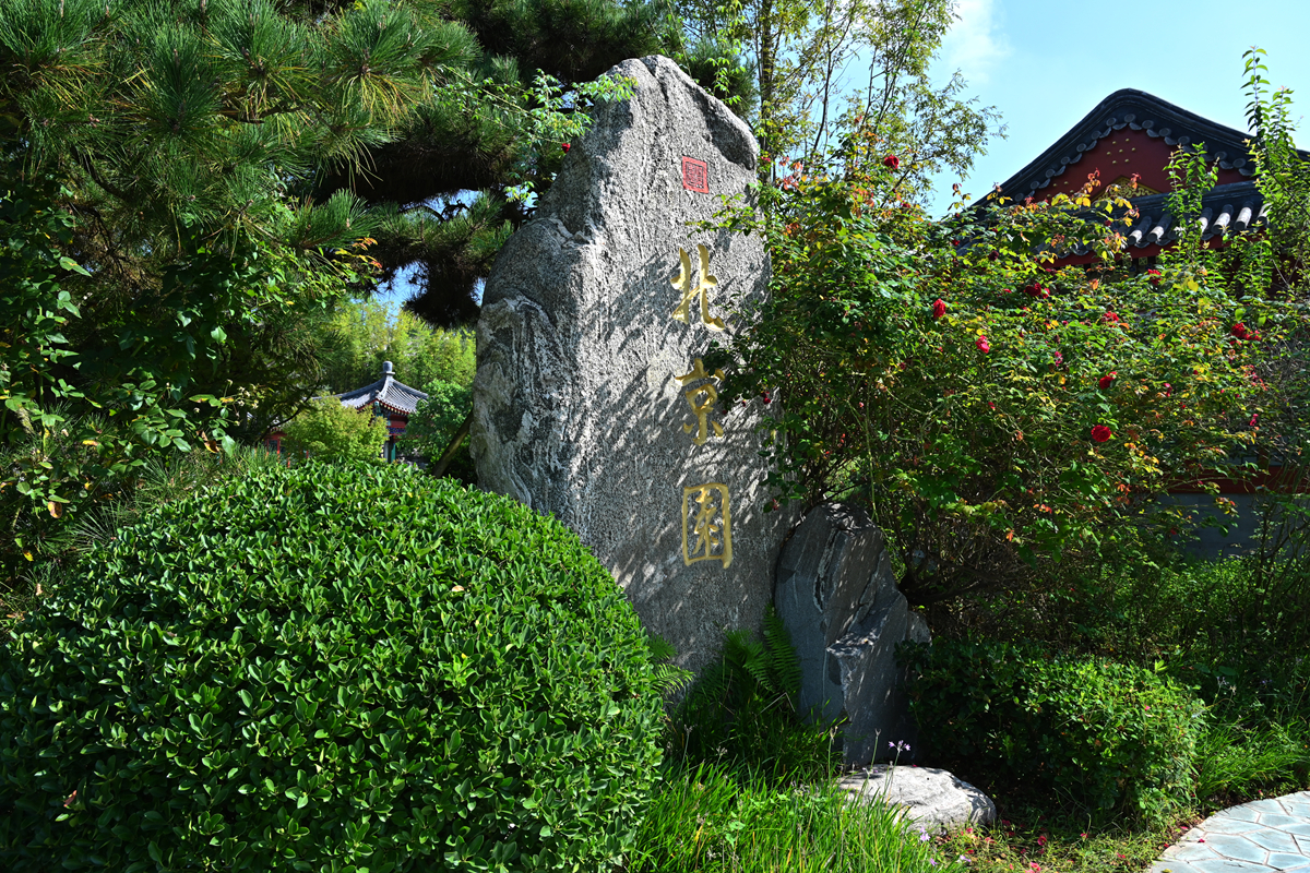 DSC_0608_����.jpg