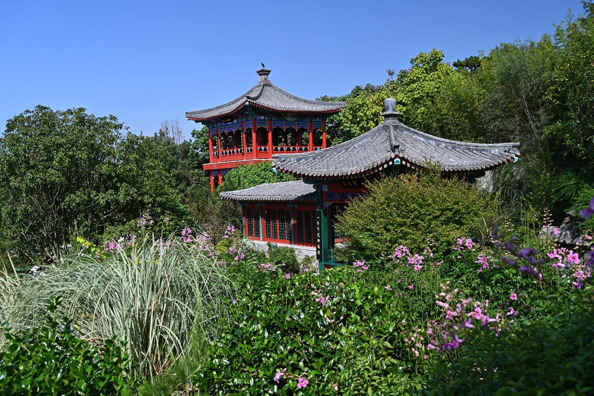 DSC_0618_����.jpg