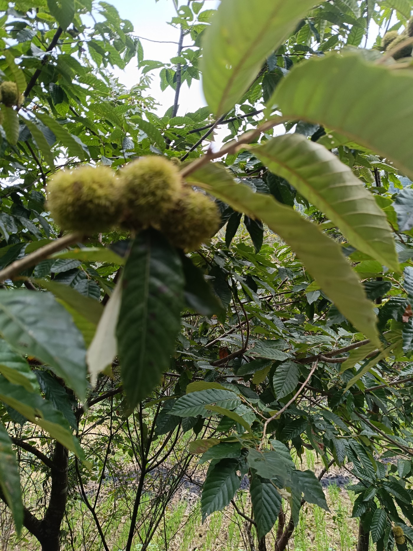 ΢��ͼƬ_20261009102238_306_3.jpg