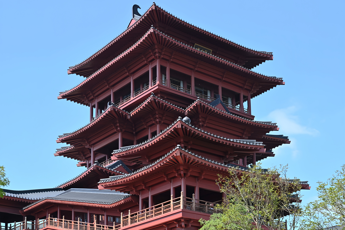 DSC_0773_����.jpg