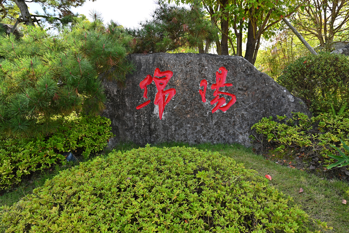 DSC_0793_����.jpg