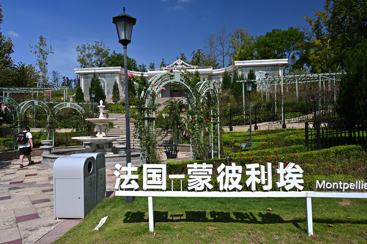 DSC_0806_����.jpg