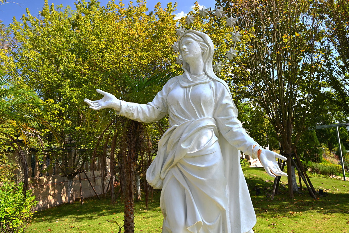 DSC_0812_����.jpg