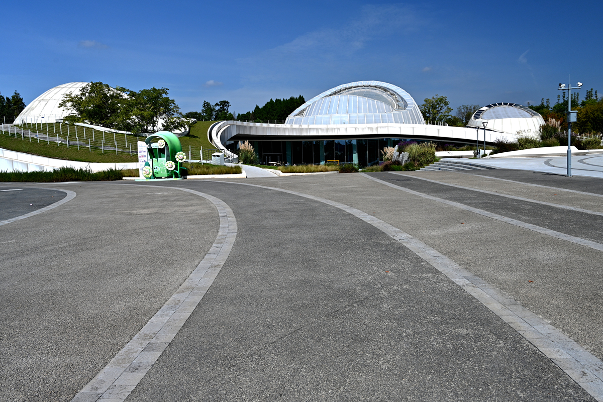 DSC_0816_����.jpg