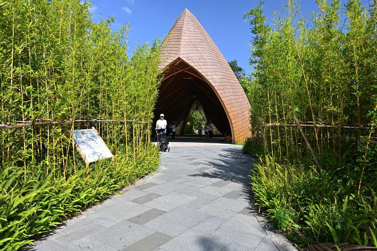 DSC_0825_����.jpg