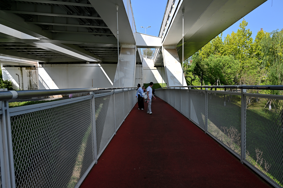DSC_0851_����.jpg