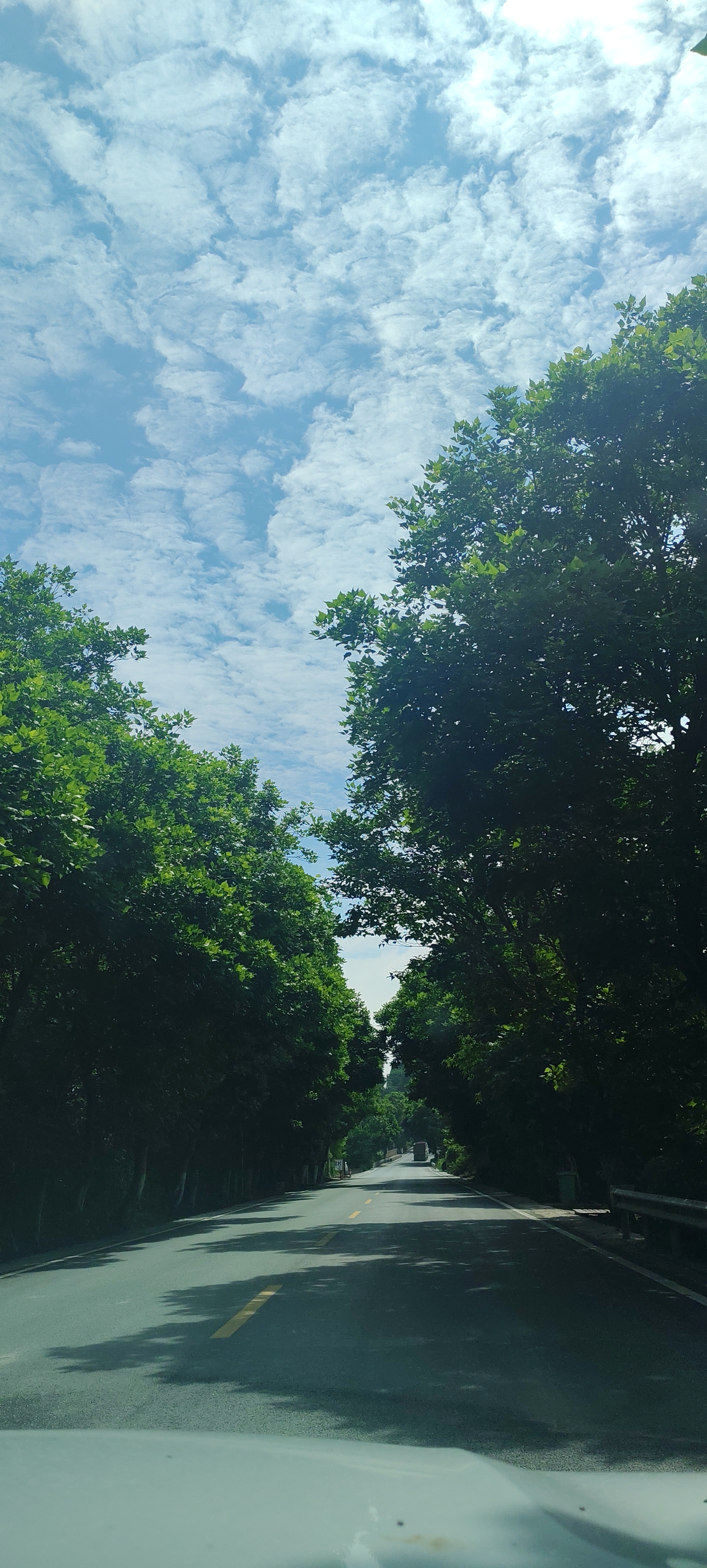 ΢��ͼƬ_20260712154915_2166_198.jpg