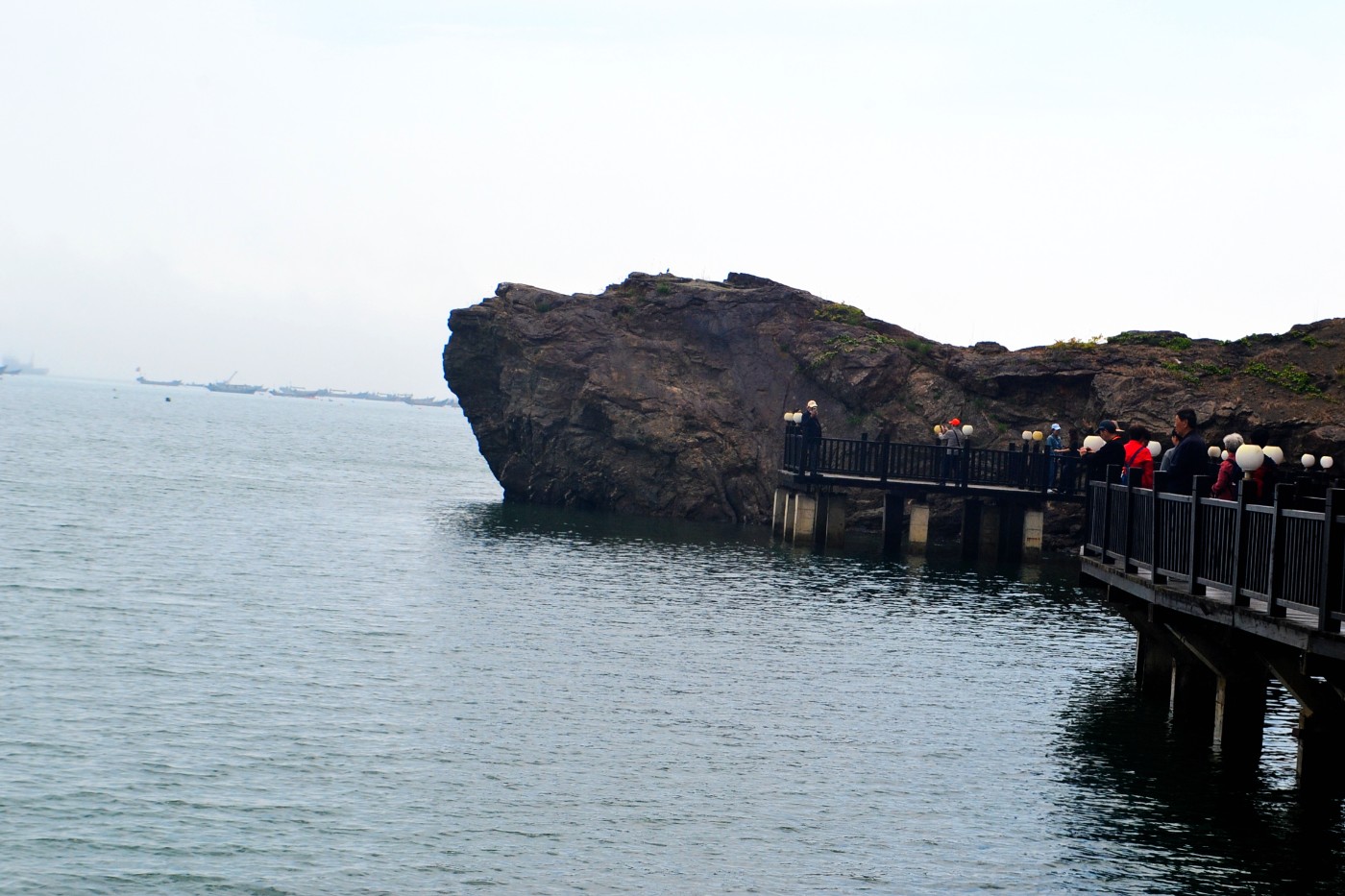 DSC_8349.JPG