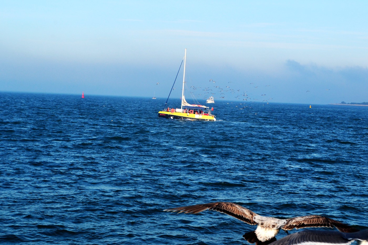 DSC_8521.JPG