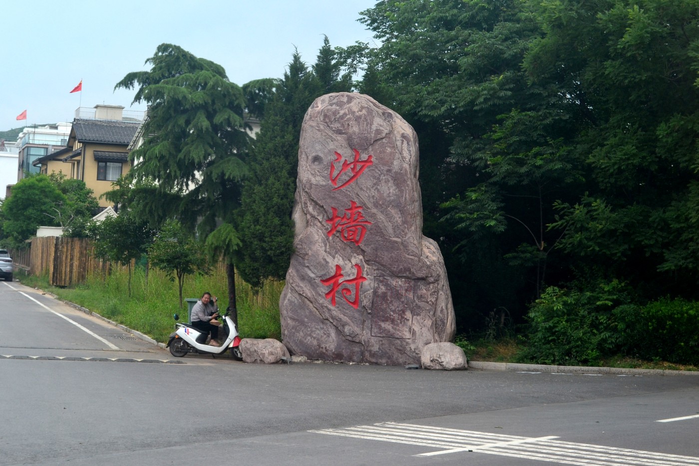 DSC_8528.JPG