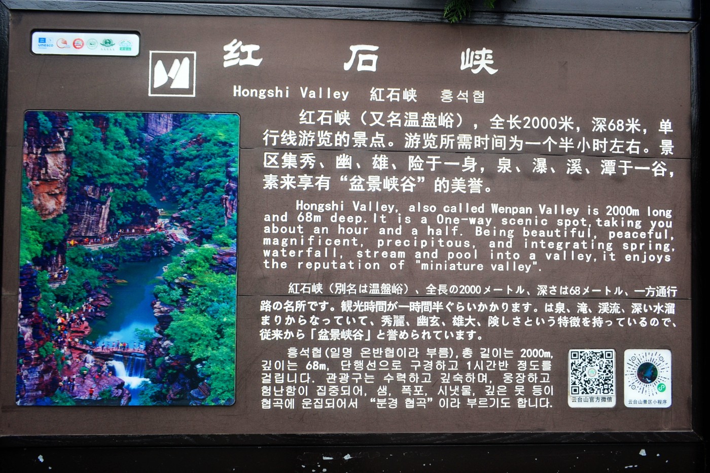 DSC_8548.JPG