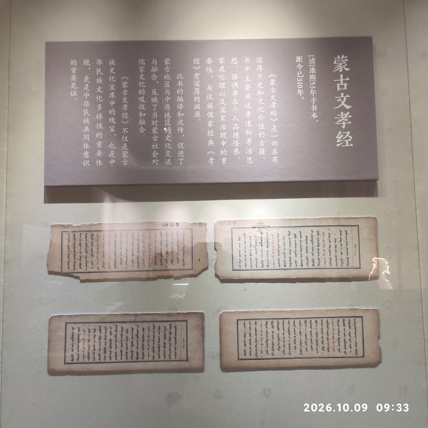 1791700918365.jpg