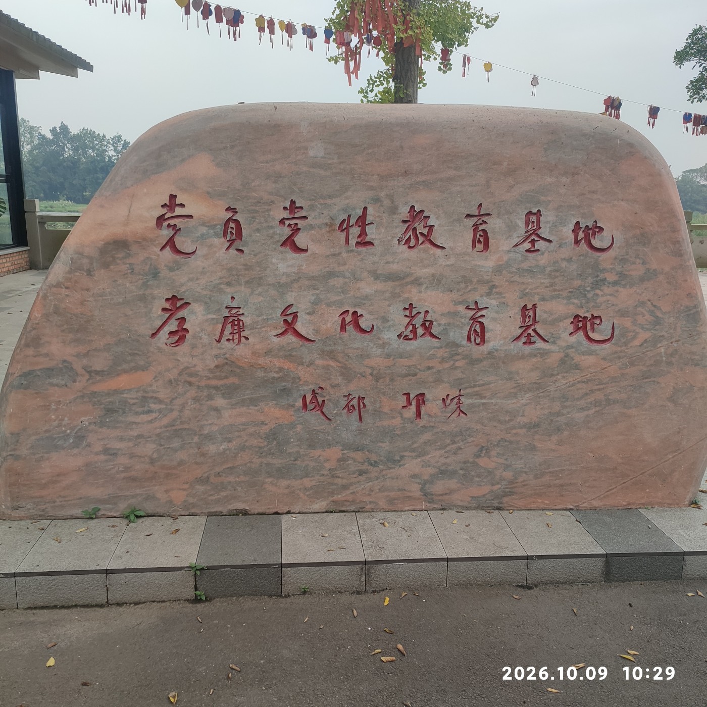 1791701227716.jpg