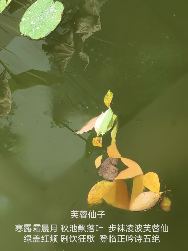 20261012060259front2_0_6080161_FiJy401NUy3l3QIpRP4fJ7mepC50.jpg