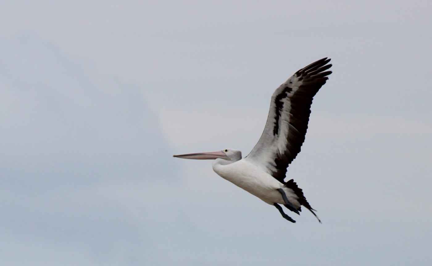 IMG_6762.JPG