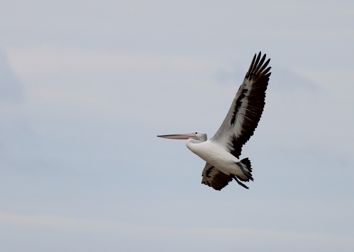 IMG_6761.JPG