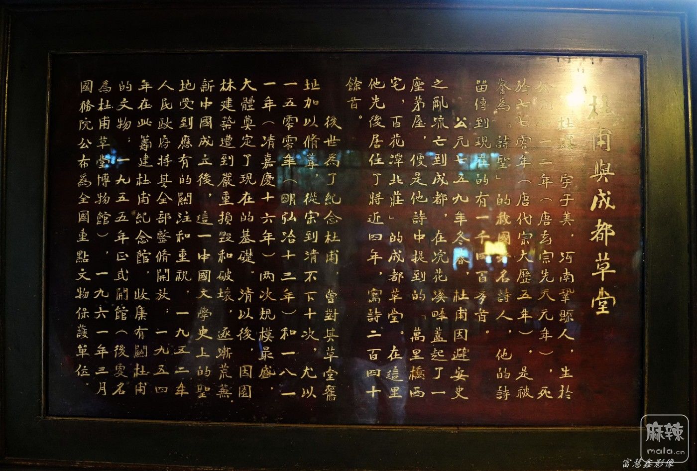 DSC07767_����.jpg