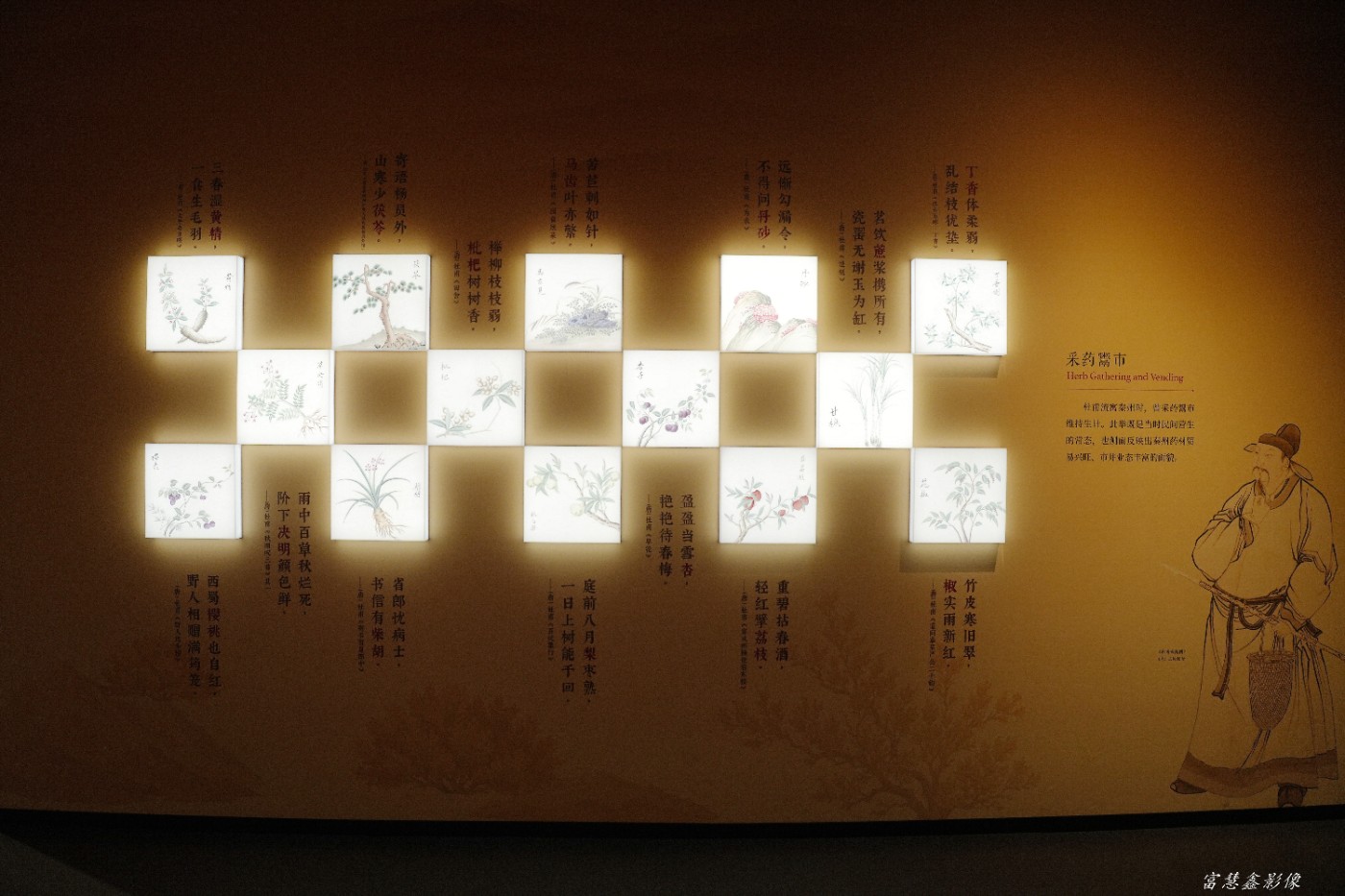 DSC07621_����.jpg
