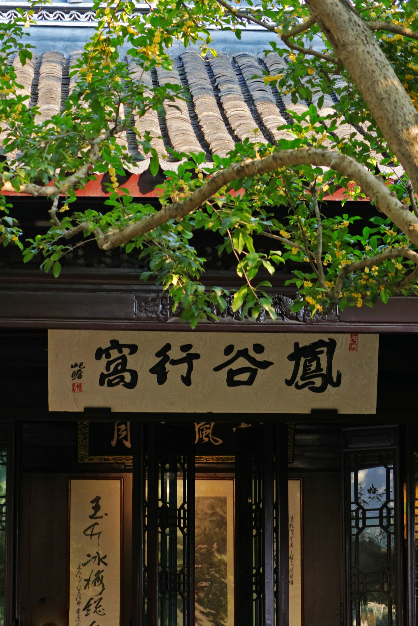 IMG_7631.JPG