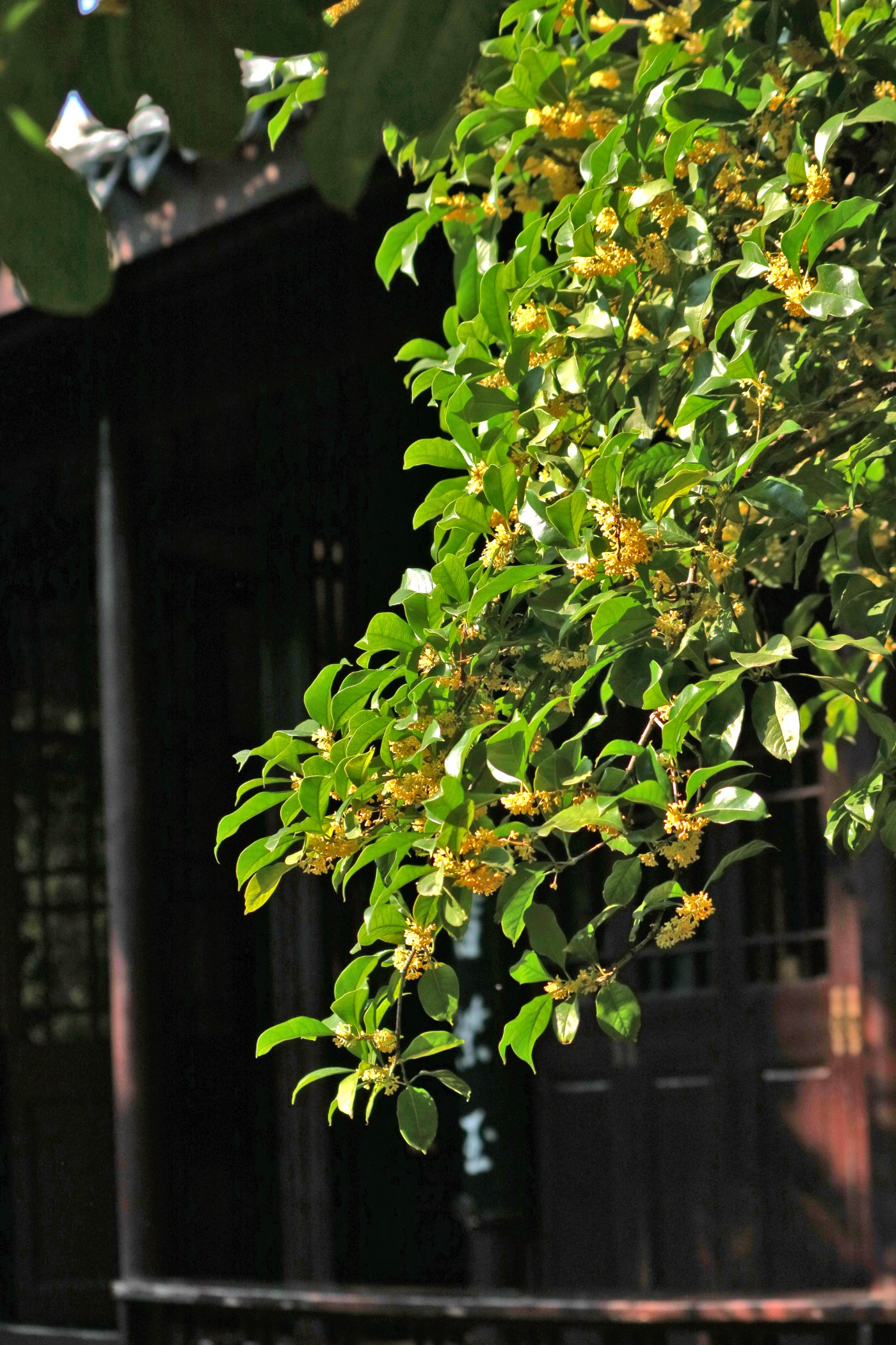 IMG_7635.JPG