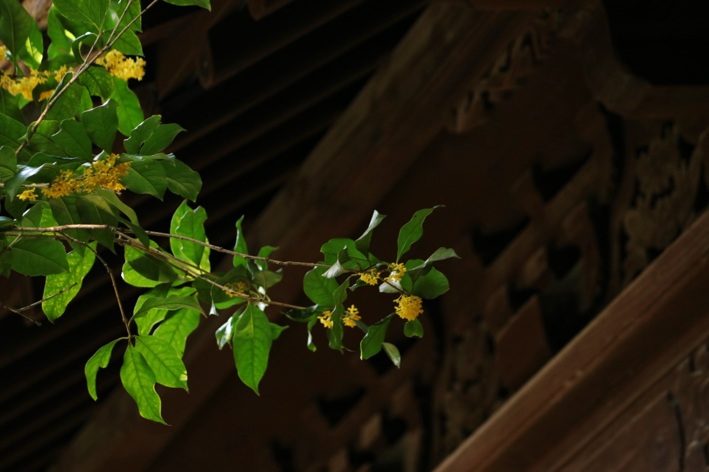 IMG_7673.JPG