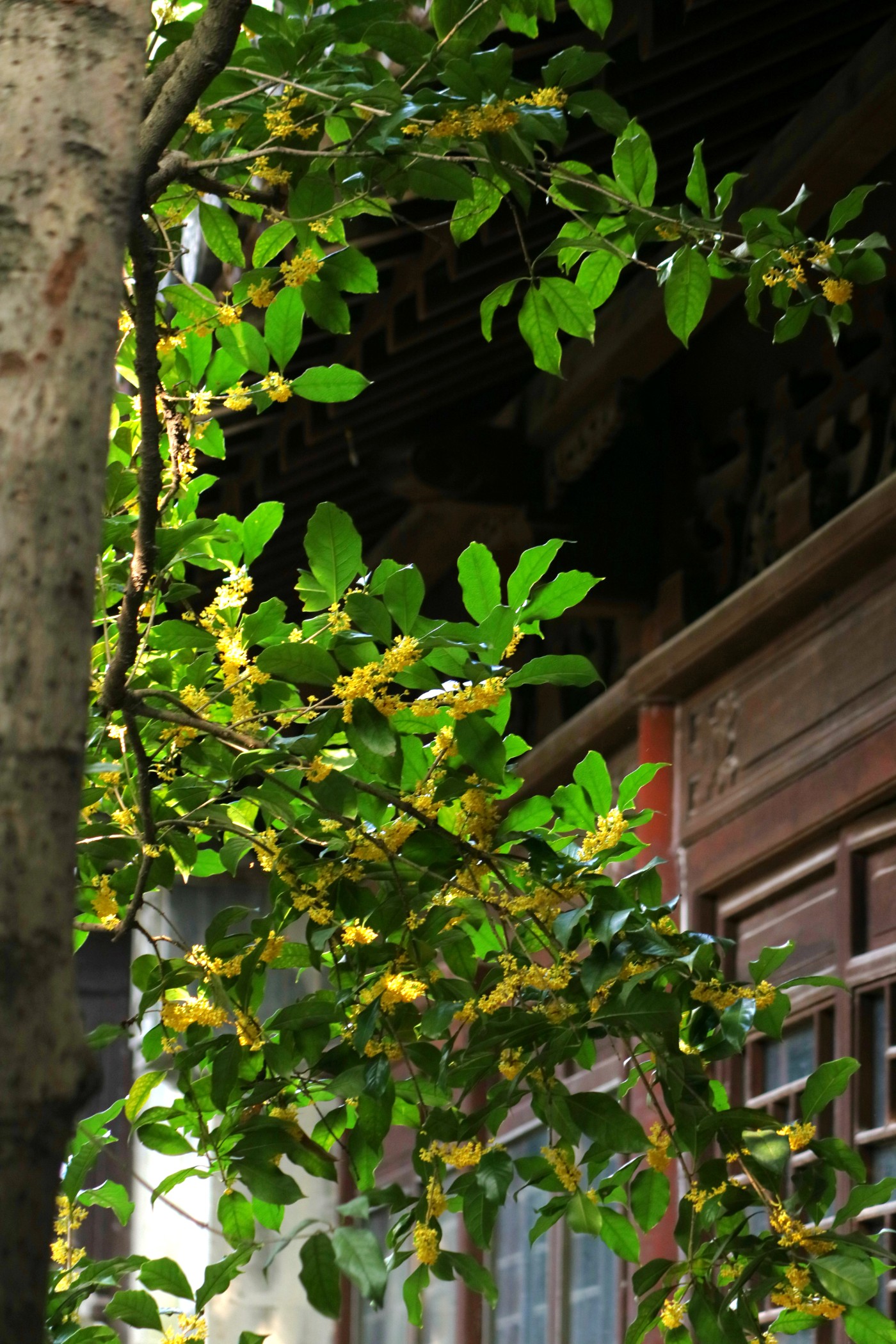 IMG_7678.JPG