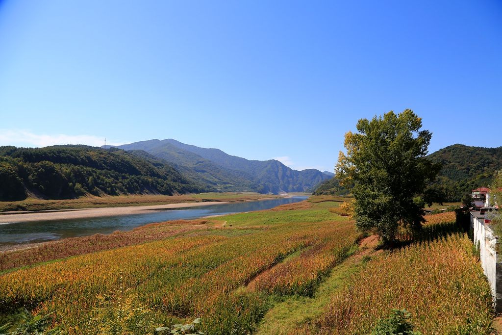 L_JY1935_����.jpg