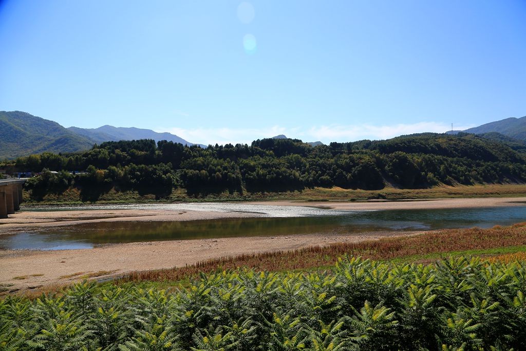 L_JY1938_����.jpg