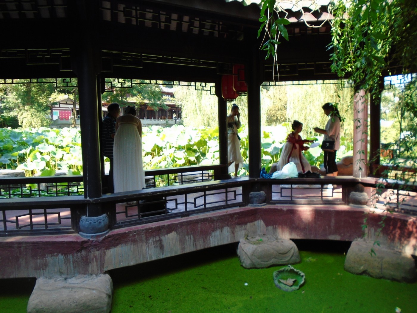 DSC05686.JPG