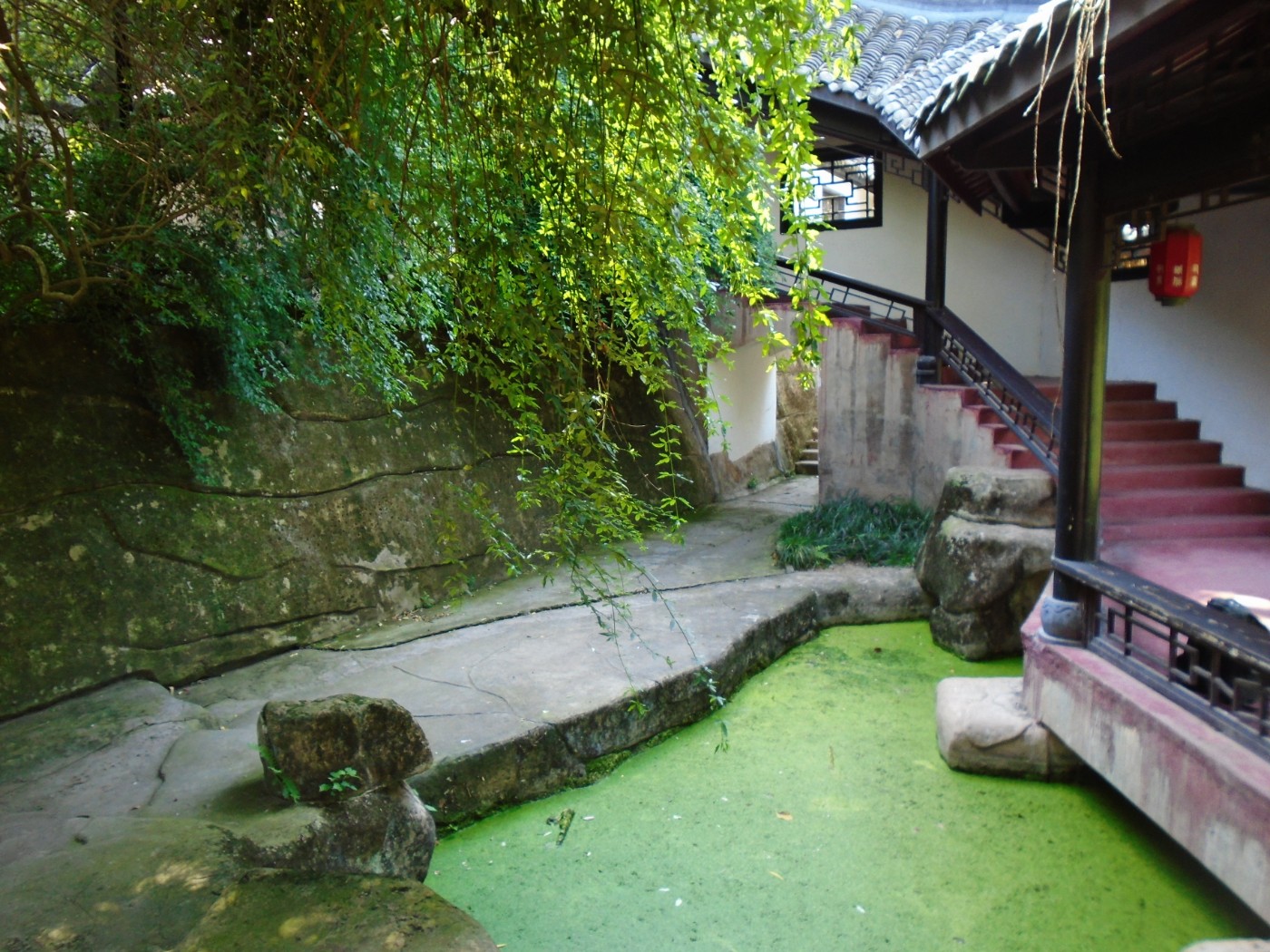 DSC05687.JPG