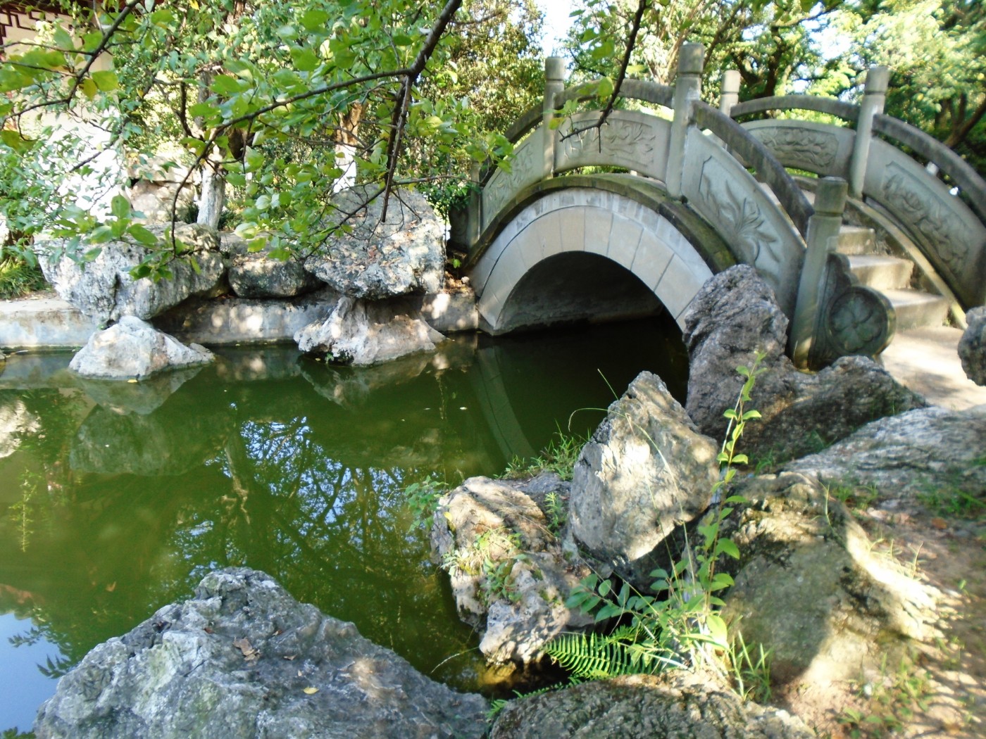 DSC05702.JPG