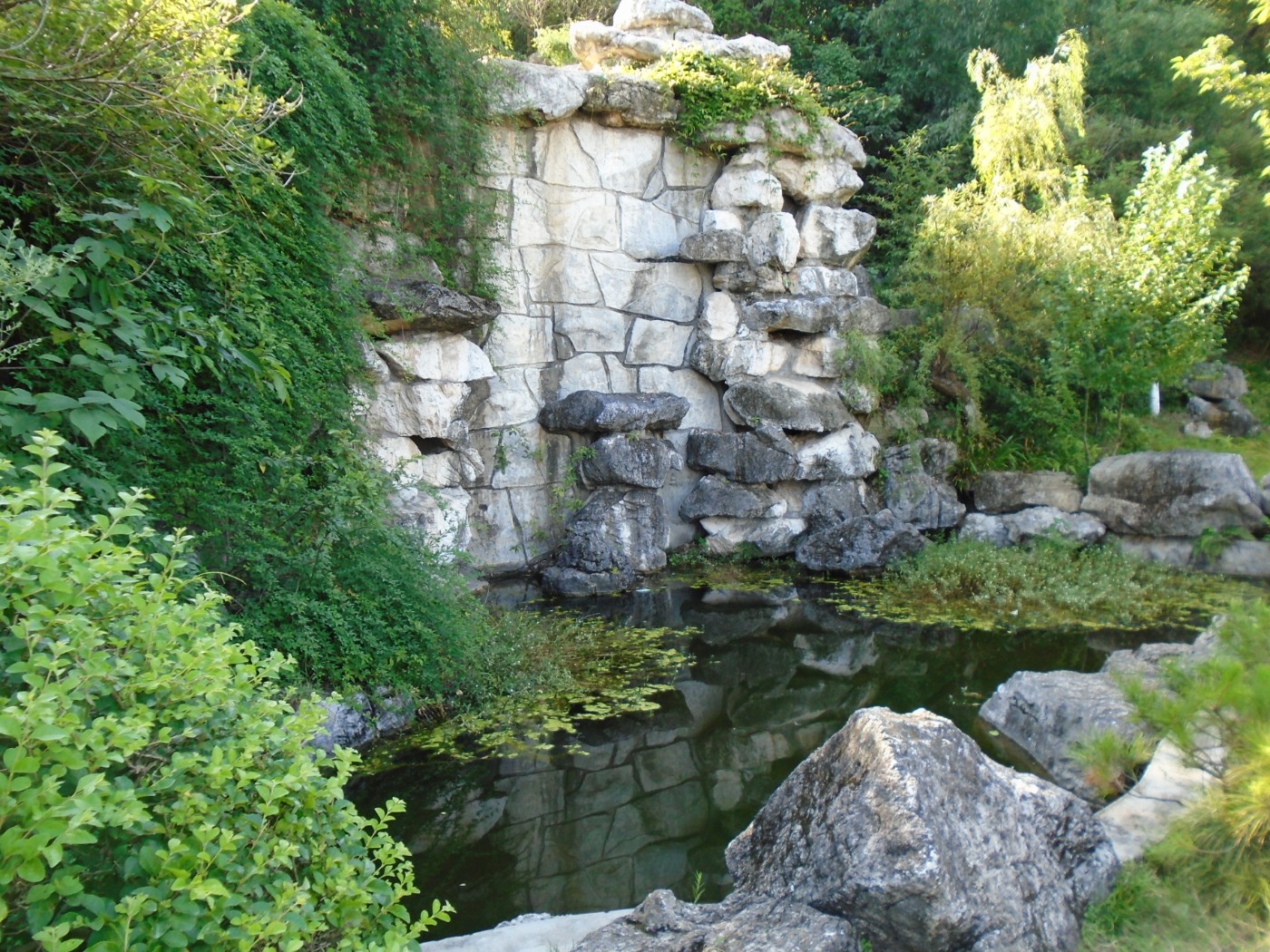 DSC05705.JPG