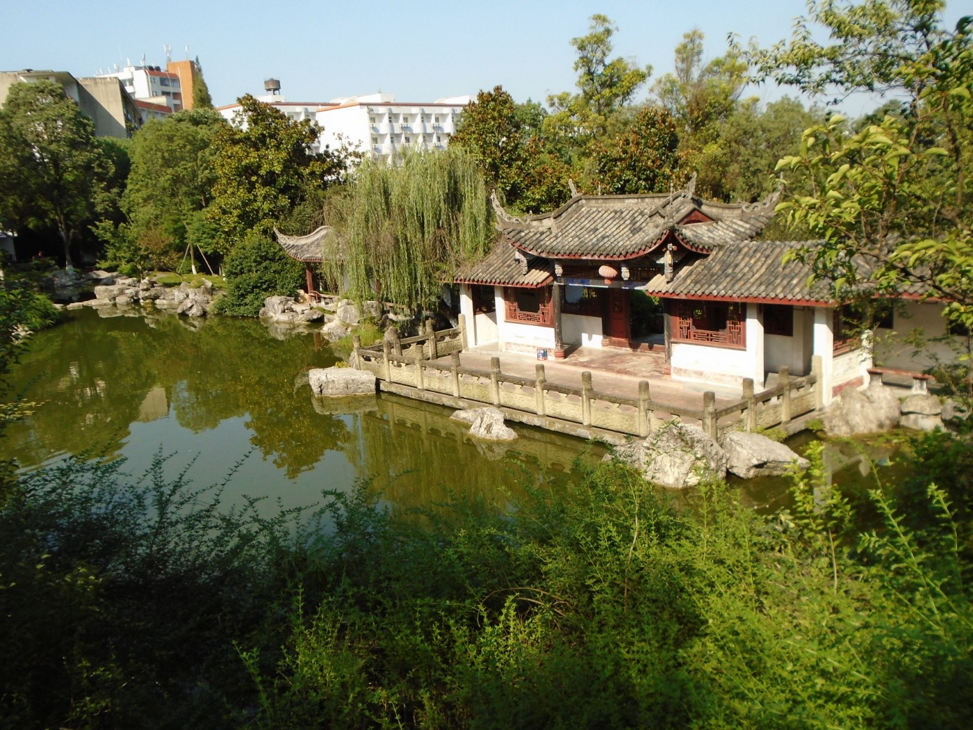 DSC05704.JPG