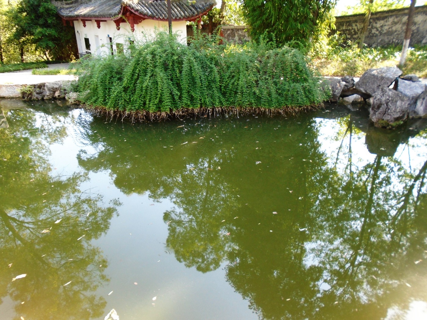 DSC05732.JPG