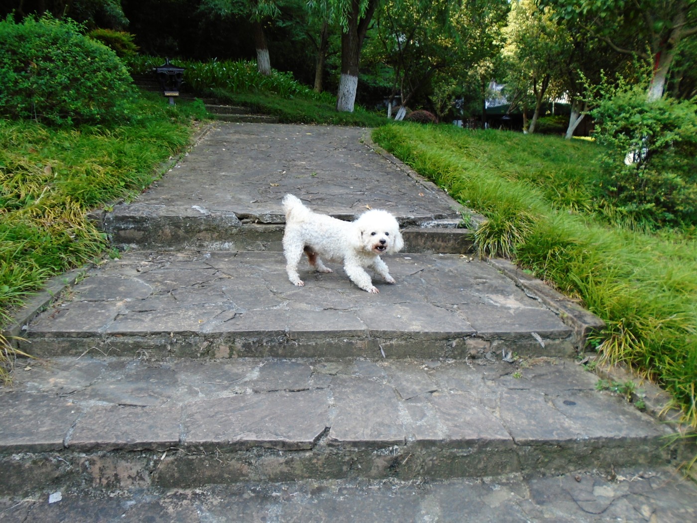 DSC05739.JPG