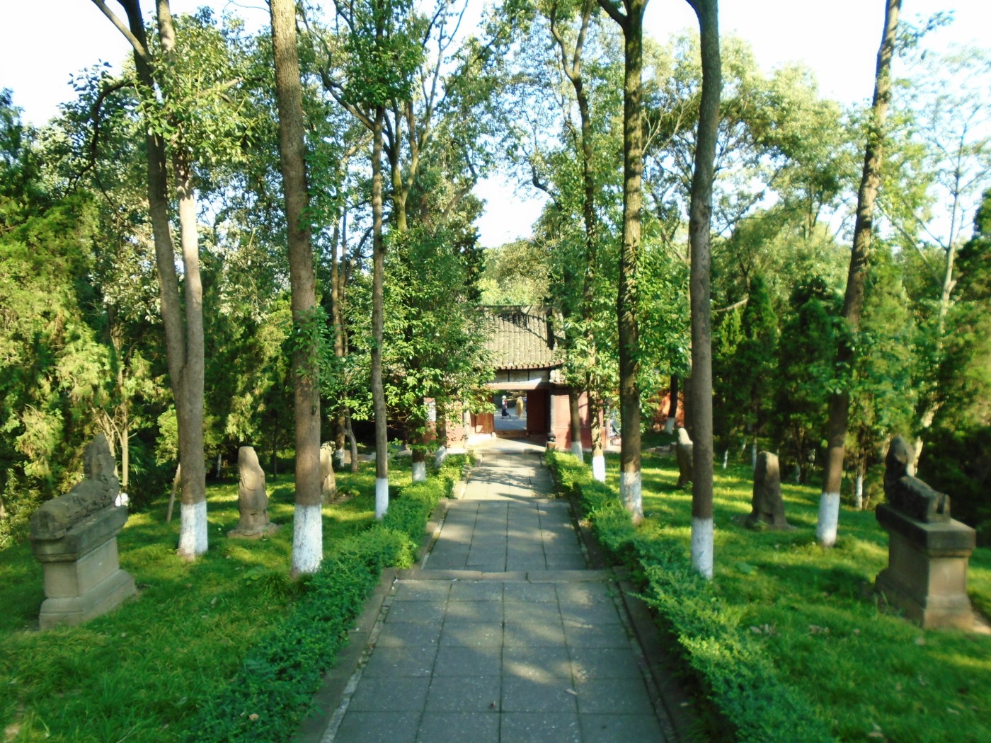 DSC05748.JPG