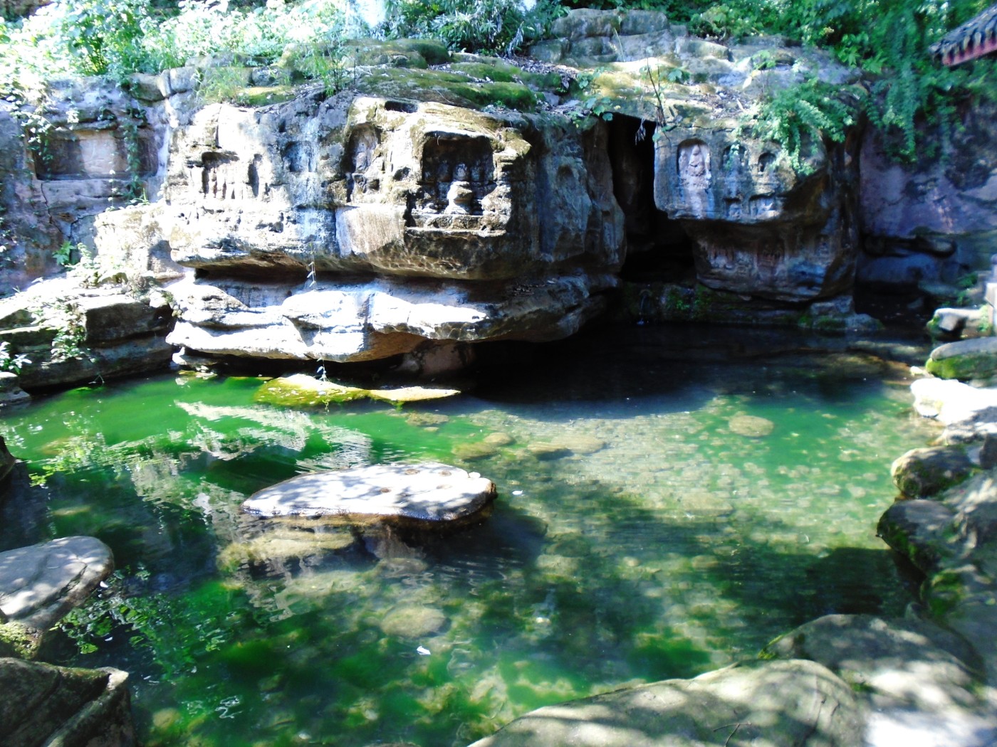 DSC05829.JPG