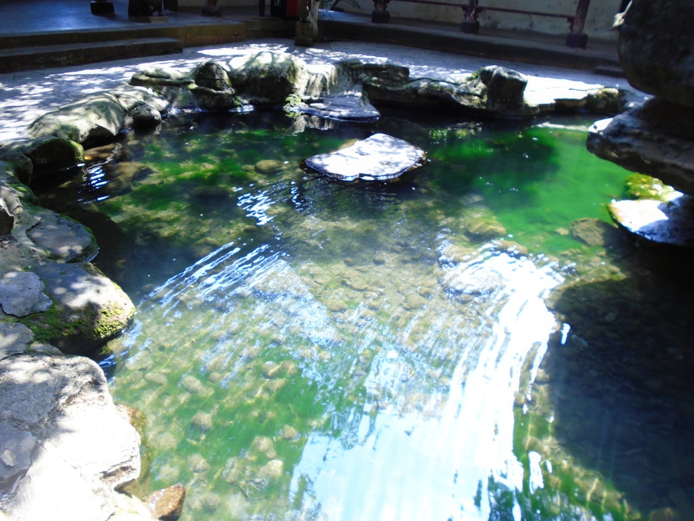 DSC05834.JPG