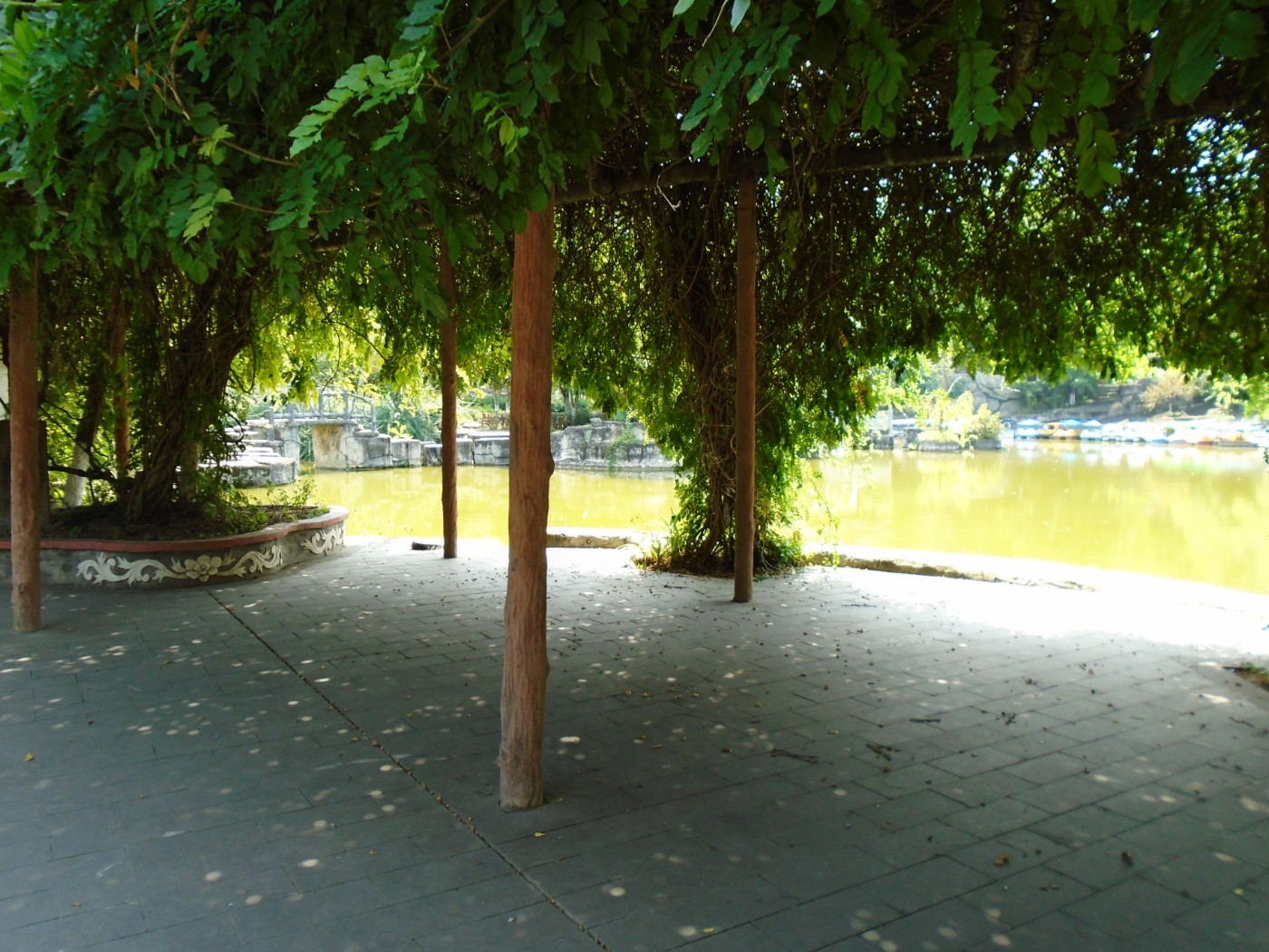DSC05855.JPG