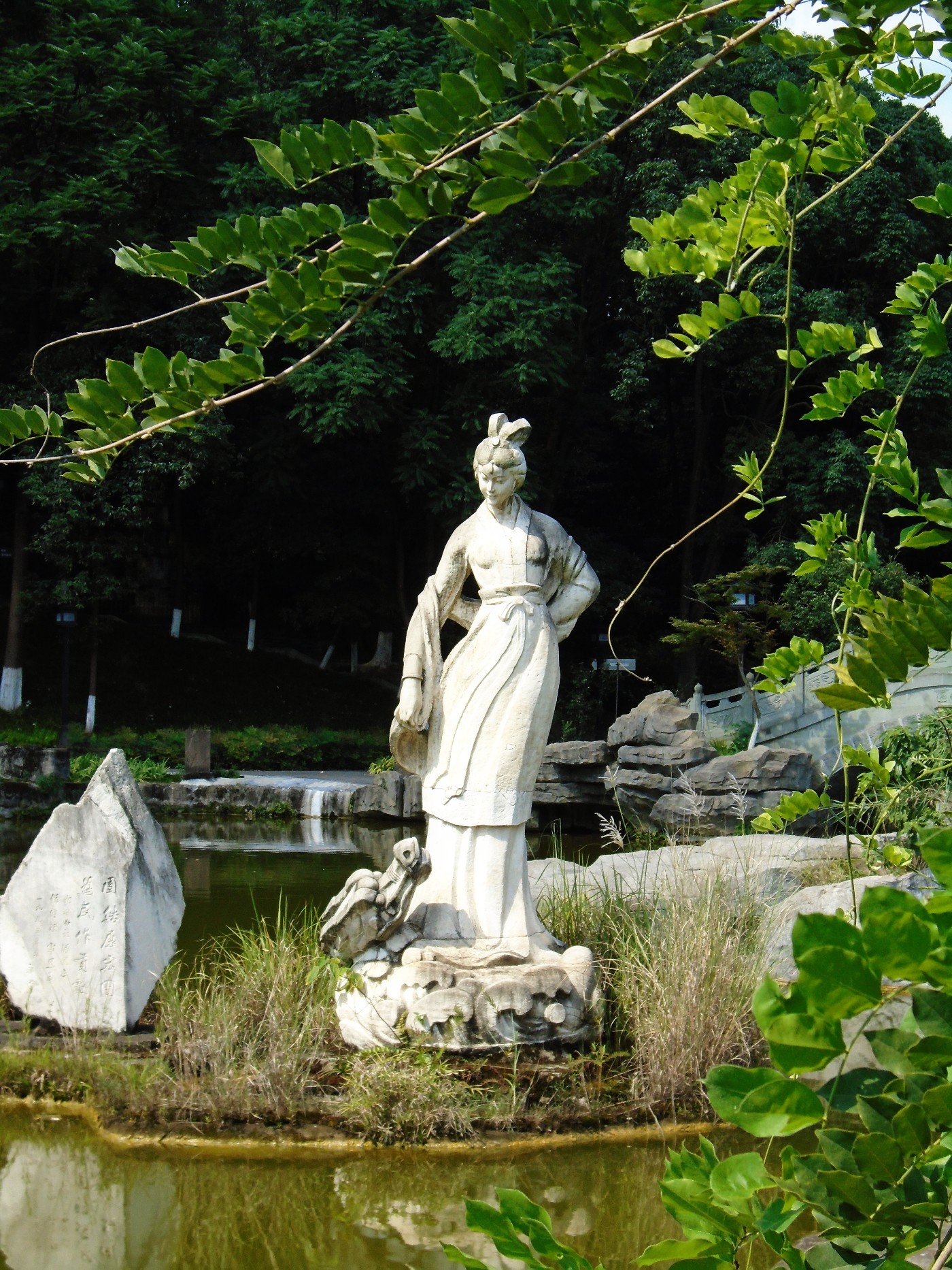 DSC05858.JPG