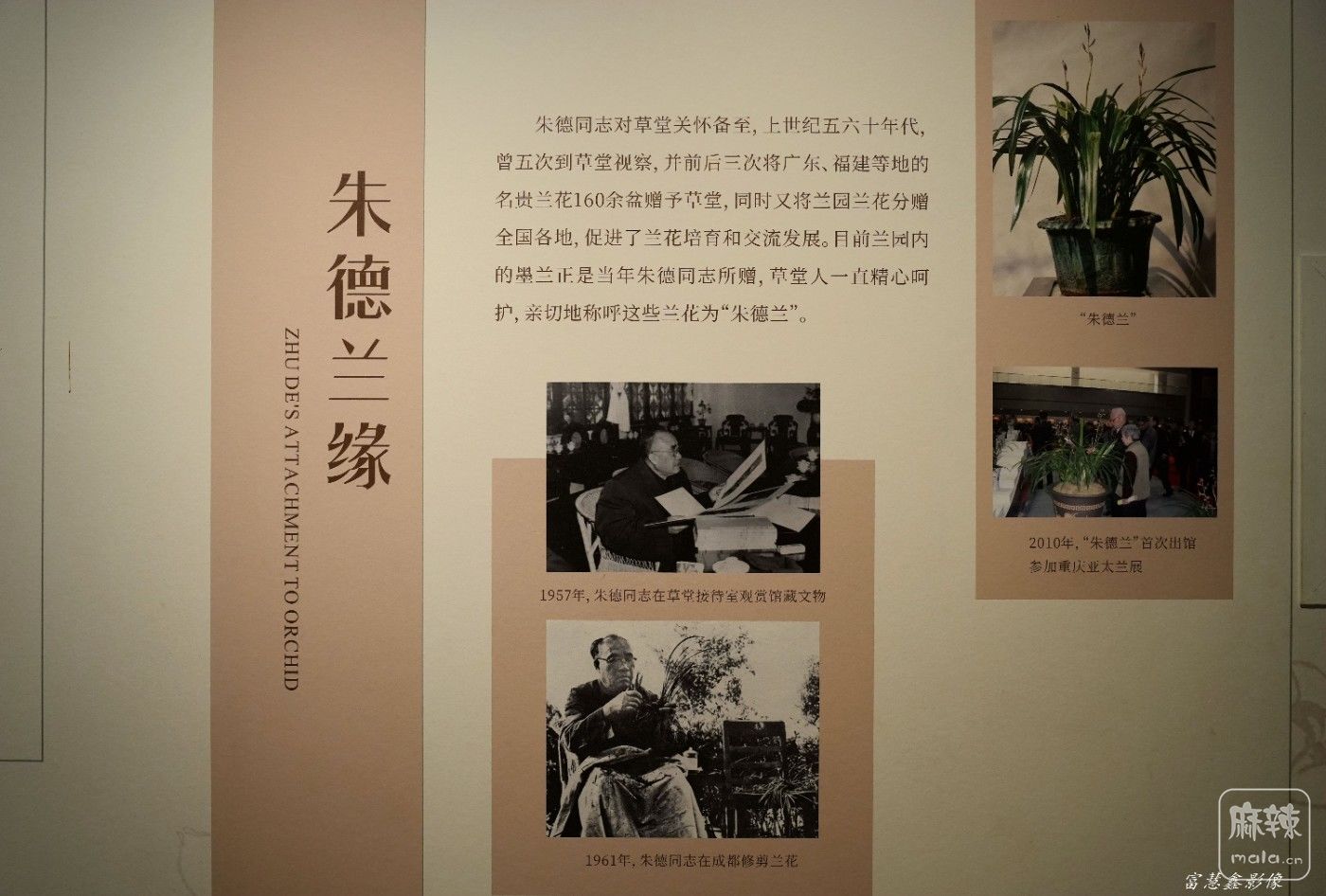 DSC07687_����.jpg