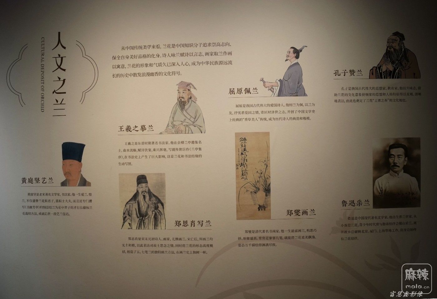 DSC07689_����.jpg