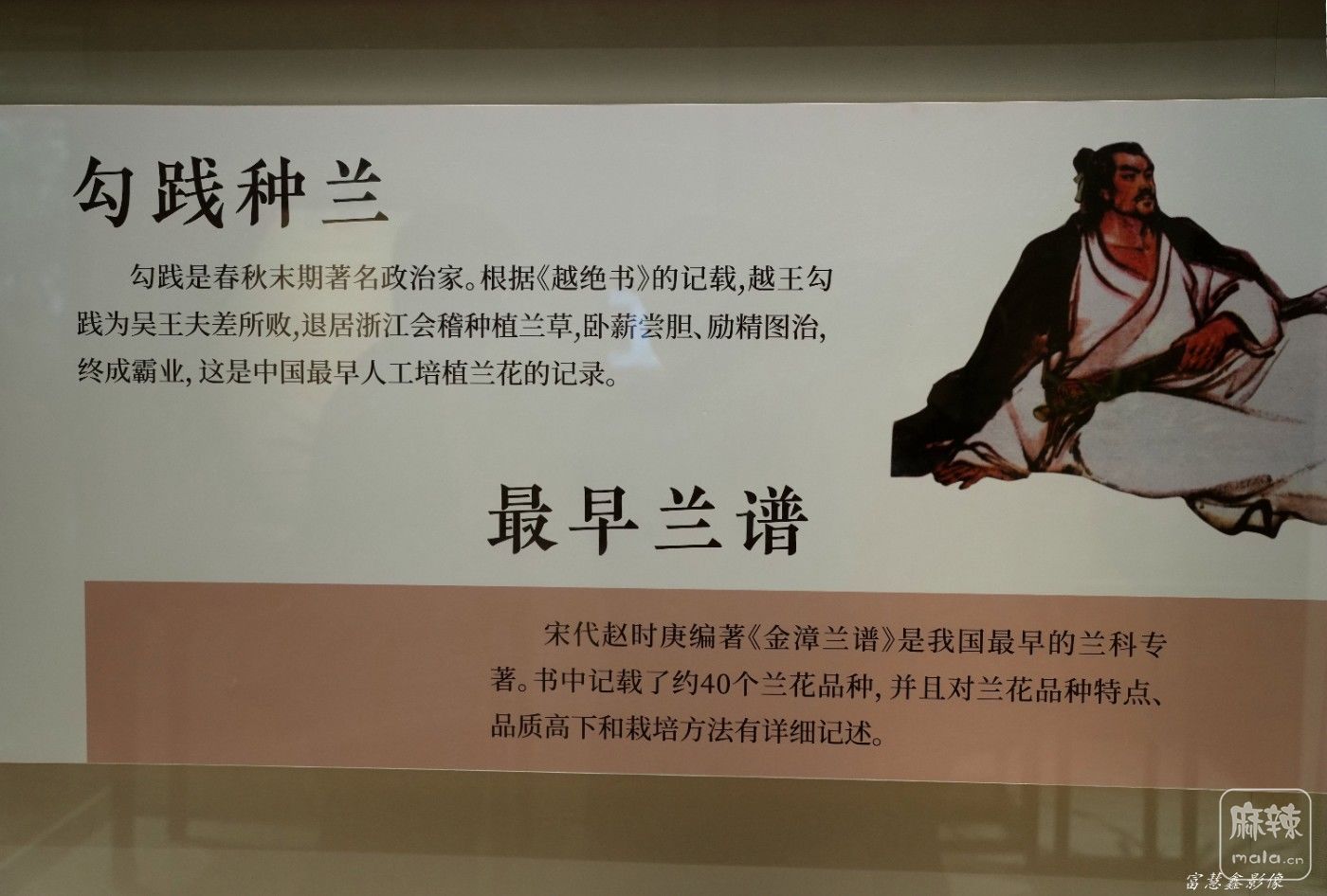 DSC07688_����.jpg