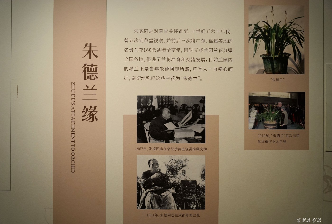 DSC07687_����.jpg