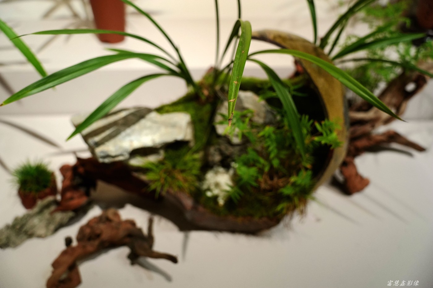 DSC07690_����.jpg