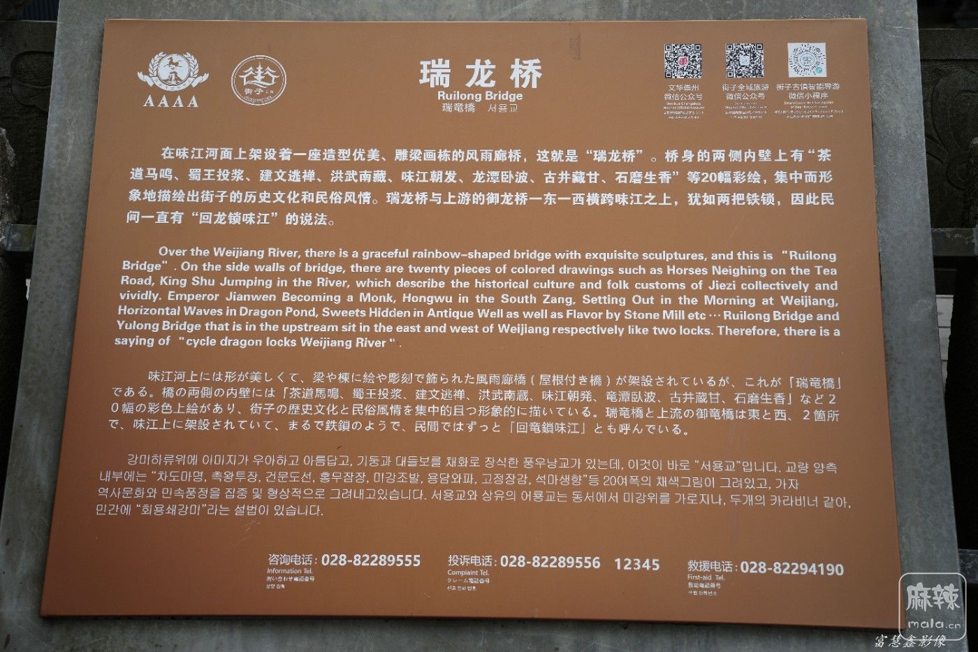 DSC00672_����.jpg