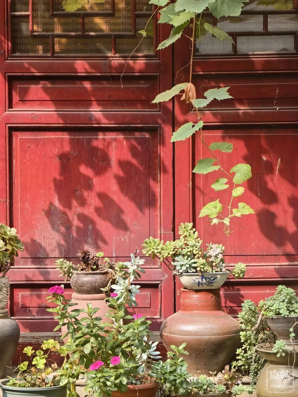 bd71adfa9c214663bfa7af36718516df~tplv-tt-origin-web:gif.jpeg