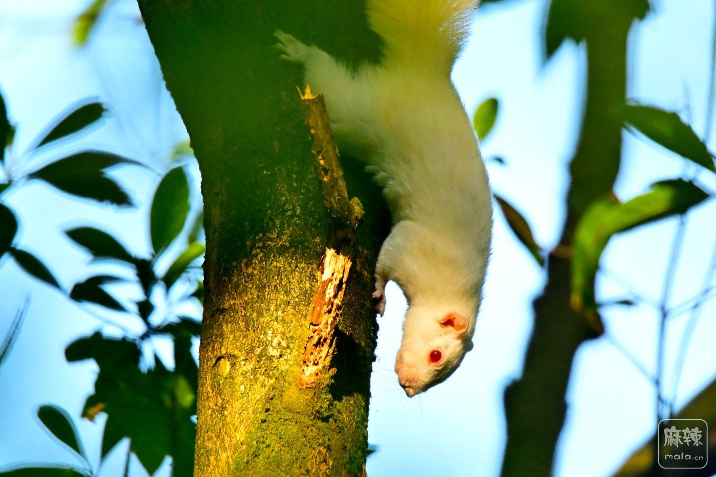 DSC_4620.JPG