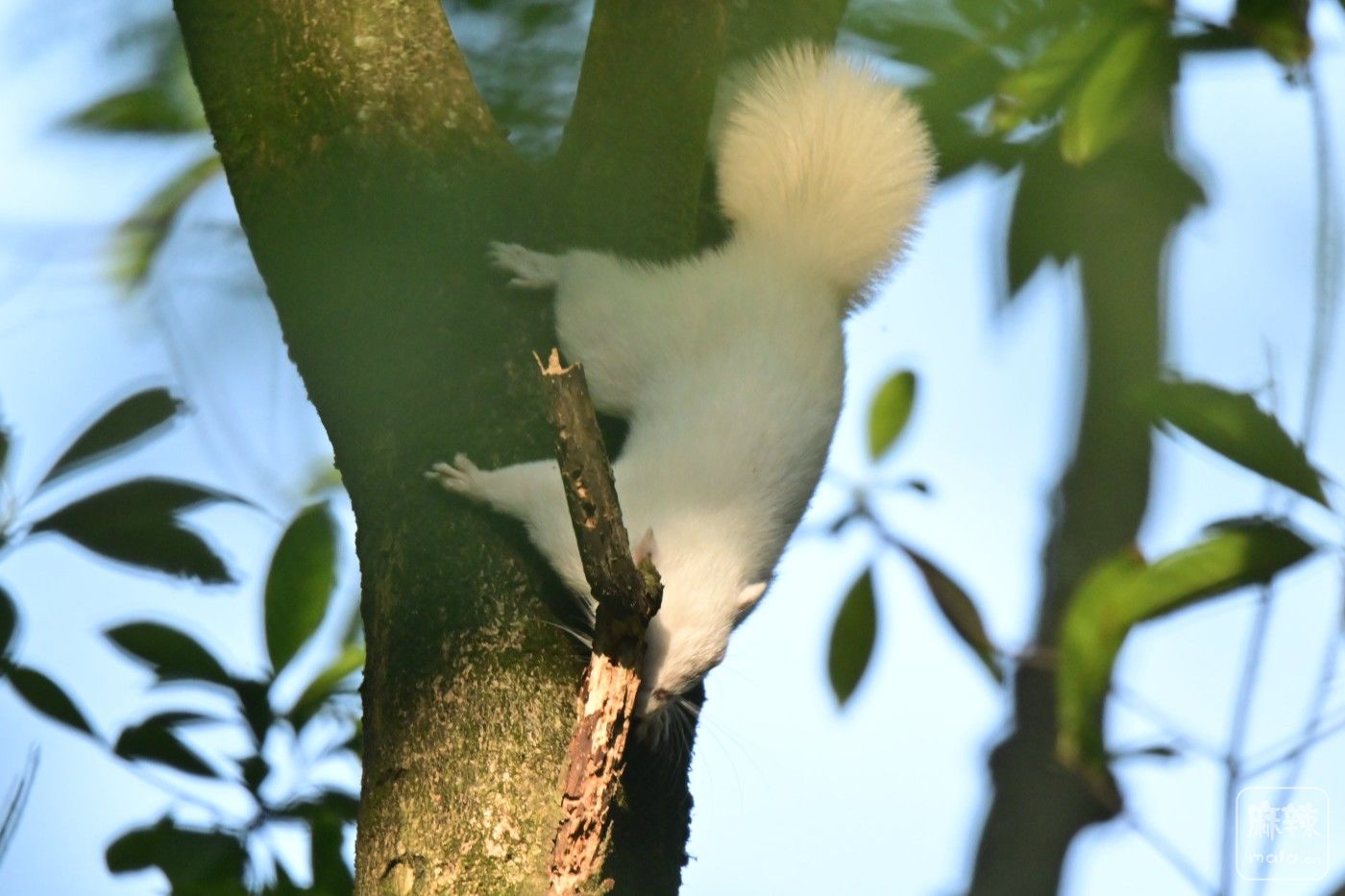 DSC_4599.JPG