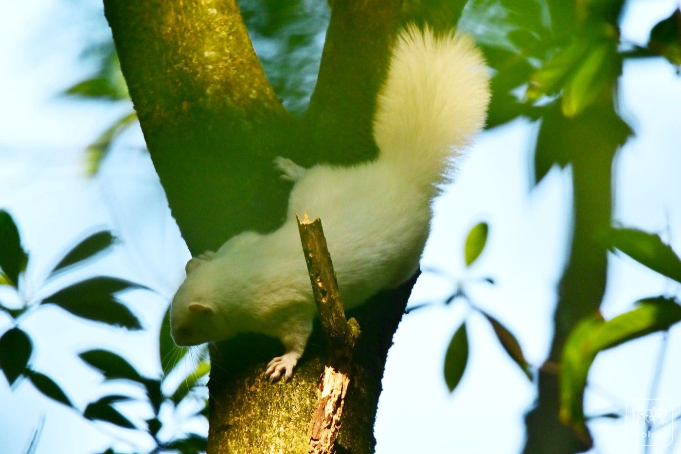 DSC_4610.JPG
